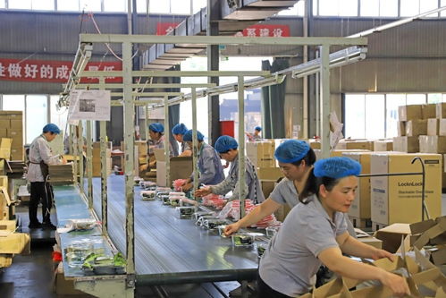 近九成專(zhuān)精特新企業(yè)制定國(guó)際化計(jì)劃