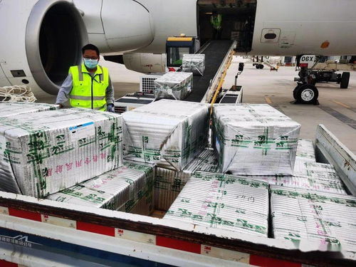 烏魯木齊國際機(jī)場國際貨運(yùn)業(yè)務(wù)全面恢復(fù)運(yùn)營