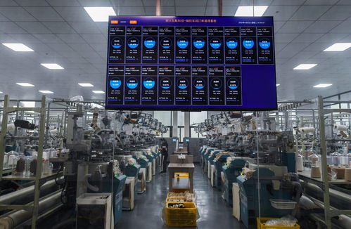 浙江諸暨 積極推進(jìn) 國際襪都 襪業(yè)產(chǎn)業(yè)高質(zhì)量發(fā)展