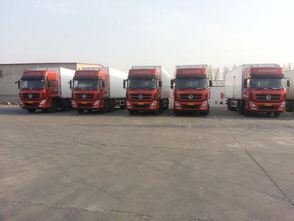 寧波至成都物流專(zhuān)線(xiàn)與國(guó)際物流服務(wù)解析